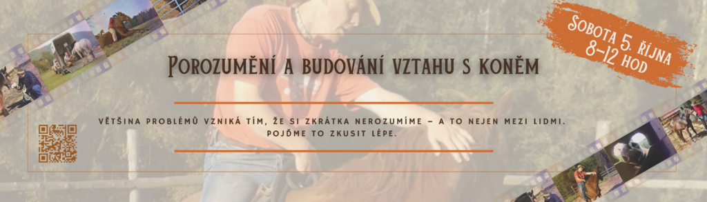 Porozumění a budování vztahu s koněm